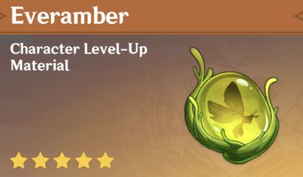 Trounce Materials - Everamber. The trounce material used for Kirara's talent upgrades is the Everamber. This unique item is found in only one place: the Realm of Beginnings trounce challenge ...